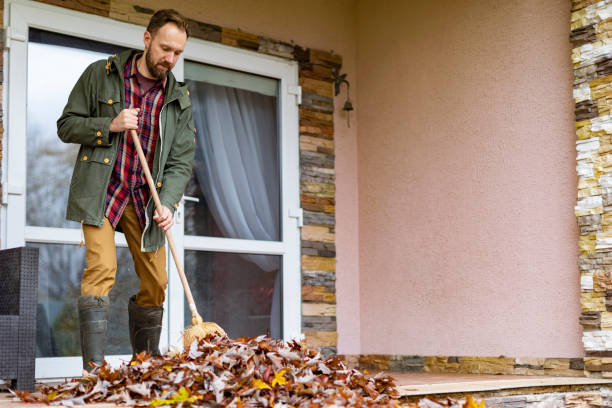 Yard Cleanup Services in Freeman, SD